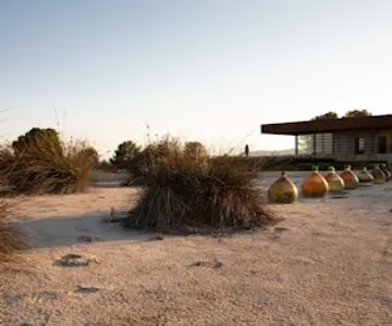 Familia Torres Winery: Tapas Slow Food & Wine Experience